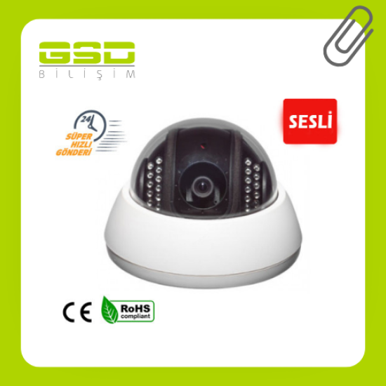 ANALOG DOME GÜVENLİK KAMERASI 700 TV LINE SESLİ- 7003